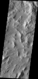 Dark slope streaks are common on the ridges of Lycus Sulci. These markings are thought to be formed by the removal of the brighter dust when material is shed from the top of the ridge. This image is from NASA's 2001 Mars Odyssey spacecraft.