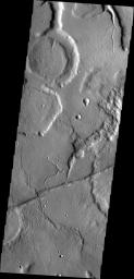The channels in this image captured by NASA's 2001 Mars Odyssey spacecraft are draining the northeastern margin of Tempe Terra.