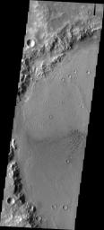 This small field of sand dunes is located on the floor of an unnamed crater on Mars in Terra Cimmeria as seen by NASA's 2001 Mars Odyssey spacecraft.