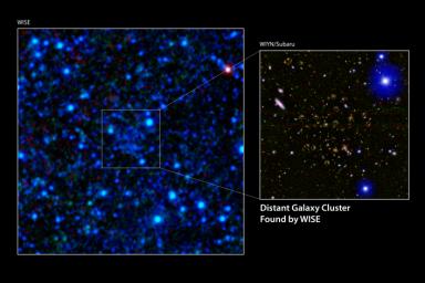 A galaxy cluster 7.7 billion light-years away has been discovered using infrared data from NASA's Wide-field Infrared Survey Explorer (WISE). The discovery image is shown in the main panel.