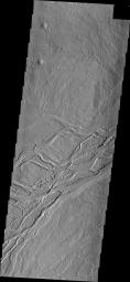 This image captured by NASA's 2001 Mars Odyssey spacecraft shows lava channels in the Tharsis plains on Mars.