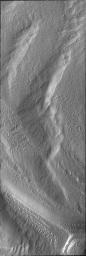 This image from NASA's 2001 Mars Odyssey spacecraft shows a region of the south pole where the surface has developed linear markings, a pattern not unlike a thumbprint.