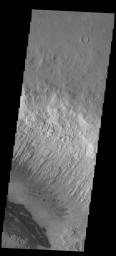 This image captured by NASA's 2001 Mars Odyssey spacecraft shows some the sand dunes on the floor of Danielson Crater.