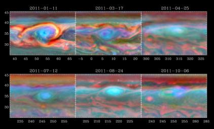 A vortex that was part of a giant storm on Saturn slowly dissipates over time in this set of false color images from NASA's Cassini spacecraft.