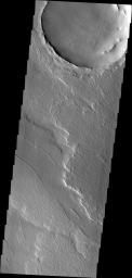 The lava flows in this image captured by NASA's 2001 Mars Odyssey spacecraft are located on the northeastern margin of Daedalia Planum. Wind deposits are visible in the lee of the flow fronts.