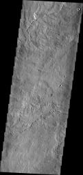 The lava flows in this image captured by NASA's 2001 Mars Odyssey spacecraft originated at Pavonis Mons.
