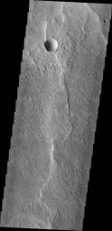 The small parallel ridges in this image captured by NASA's 2001 Mars Odyssey spacecraft were created by the erosive power of wind blown particles.