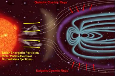 This illustration depicts the two main types of radiation that NASA's Radiation Assessment Detector (RAD) onboard Curiosity monitors, and how the magnetic field around Earth affects the radiation in space near Earth.