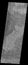 This image from NASA's Mars Odyssey spacecraft shows lava flows from Arsia Mons on Mars.