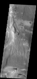 Windstreaks in this image indicate winds from the east to west in this region of Meridiani Planum captured by NASA's 2001 Mars Odyssey spacecraft.