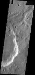 Many dark slope streaks mark the rim of this unnamed crater in Terra Sabaea in this image from NASA's 2001 Mars Odyssey spacecraft.