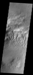 Many gullies are located on the northern rim of this unnamed crater in Noachis Terra as seen by NASA's 2001 Mars Odyssey spacecraft. Small dunes are located on the floor of the crater (lower left side of image).