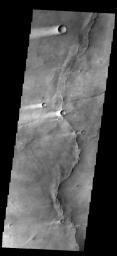 This image shows several wind streaks in Syrtis Major Planum as seen by NASA's 2001 Mars Odyssey spacecraft.