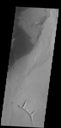 The lava flows in this image captured by NASA's 2001 Mars Odyssey spacecraft are located of the eastern margin of the Tharsis Volcanic complex.