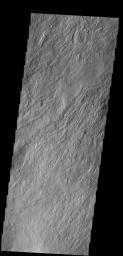 The narrow flows and channels in this image captured by NASA's 2001 Mars Odyssey spacecraft are located on the northeastern margin of Olympus Mons.