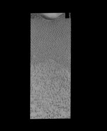 This image from NASA's 2001 Mars Odyssey spacecraft shows dunes near the north polar cap of Mars. It is springtime at the north pole and the dunes are starting to lose their frost cover.
