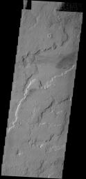 This image shows a small portion of the extensive lava flows created by the large Tharsis volcanoes as seen by NASA's 2001 Mars Odyssey spacecraft. These flows are located north east of Ascraeus Mons.