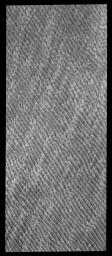 This image captured by NASA's 2001 Mars Odyssey spacecraft shows a portion of the huge dune field located at the north polar cap. As spring continues to deepen, the dunes are becoming darker and darker as they lose their winter frost cover.