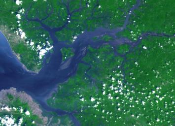This image acquired by NASA's Terra spacecraft is of the Sierra Leone estuary, which became a focal point for trade and interaction between Africans and Europeans because of its exceptional harbor, starting in the mid-15th century.