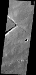 Towards the top of this image from NASA's 2001 Mars Odyssey spacecraft is a 'T' shaped depression and two sections of narrow channel located on the northeast part of the Elysium Mons volcanic complex. Fluids (like water, or lava) flow downhill.
