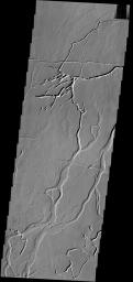 The channels and depressions seen in this image from NASA's 2001 Mars Odyssey spacecraft are part of Gordii Fossae, located on the volcanic plains between Olympus Mons and Gigas Sulci.