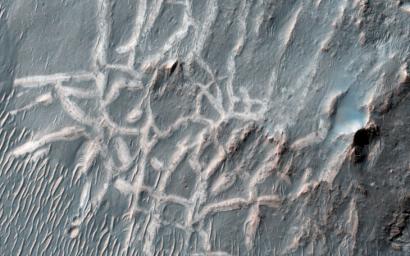 This image from NASA's Mars Reconnaissance Orbiter captures light-toned ridges found in a large fracture located east of Holden Crater forming a curious box-like pattern.