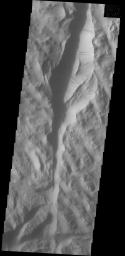Dark slope streaks are a common feature on the cliff faces of Lycus Sulci as this image from NASA's 2001 Mars Odyssey spacecraft shows.