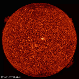 NASA's Solar Dynamics Observatory shows two solar prominences, directly at opposite sides of the Sun, over a 26-hour period (Nov. 12-13, 2018).