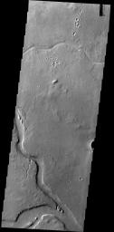 The channels in this image taken by NASA's 2001 Mars Odyssey spacecraft are part of Granicus Valles, located west of the Elysium volcanic complex.
