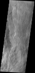 The lava flows in this image from NASA's 2001 Mars Odyssey spacecraft are located east of Olympus Mons.