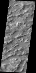This image captured by NASA's 2001 Mars Odyssey spacecraft shows a portion of Lycus Sulci, a complex region of ridges located on the northern side of Olympus Mons. The term sulci means subparallel furrows and ridges.