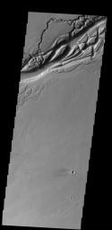 The complex channel in this image captured by NASA's 2001 Mars Odyssey spacecraft is part of Olympica Fossae, and was most likely formed by the flow of lava.