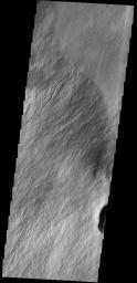 This image captured by NASA's 2001 Mars Odyssey spacecraft shows a portion of Olympus Rupes, part of the steep margin surrounding Olympus Mons. The term rupes means scarp.