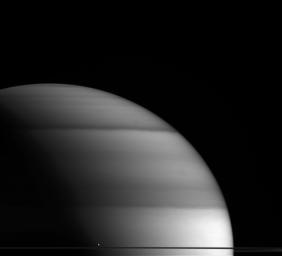 The water-world Enceladus appears here to sit atop Saturn's rings like a drop of dew upon a leaf in this view from NASA's Cassini spacecraft.
