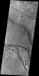 The channels in this image from NASA's 2001 Mars Odyssey spacecraft are part of Granicus Valles. Granicus Valles is located just west of the Elysium Mons Volcanic Complex and was liked formed by the flow of lava rather than water.