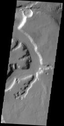 The channels in this image captured by NASA's 2001 Mars Odyssey spacecraft are part of a complex valley system called Mamers Valles. Mamers Valles is located on the northern margin of Arabia Terra.