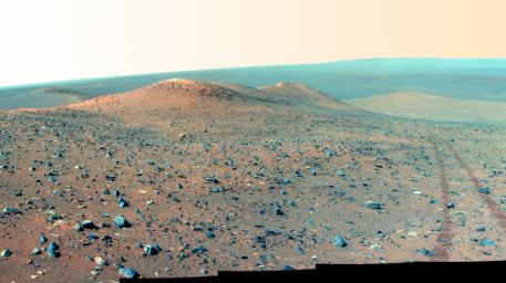 This north-looking vista from NASA's Mars Rover Opportunity shows 'Wdowiak Ridge,' from left foreground to center. This version is presented in false color, which enhances visibility of the rover's wheel tracks at right.