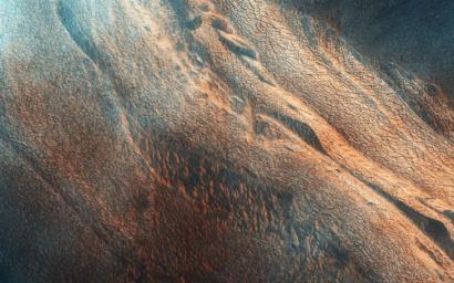 The north end of this long image from NASA's Mars Reconnaissance Orbiter shows a lava surface in southern Elysium Planitia. Small cones are common on the extensive young flood lavas in this region.