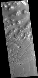 The hills and ridges at the top of this image captured by NASA's 2001 Mars Odyssey spacecraft are part of Nilus Mensae, which is part of the complex Kasei Valles channels.