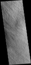 The lava flows in this image captured by NASA's 2001 Mars Odyssey spacecraft are located on the eastern flank of Olympus Mons.