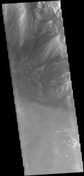 This image captured by NASA's 2001 Mars Odyssey spacecraft shows part of Melas Chasma.