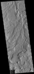 The unnamed channels in this image captured by NASA's 2001 Mars Odyssey spacecraft are located in Terra Cimmeria.