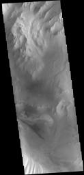 This image captured by NASA's 2001 Mars Odyssey spacecraft shows part of the floor of Candor Chasma.