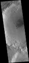 This image from NASA's 2001 Mars Odyssey spacecraft shows a field of sand dunes located on the floor of this unnamed crater in Terra Cimmeria. Several gullies dissect the northern rim of the crater.