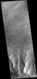 This image captured by NASA's 2001 Mars Odyssey spacecraft shows eroded materials on the floor of Candor Chasma.