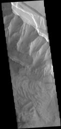 This image captured by NASA's 2001 Mars Odyssey spacecraft shows a portion of the northern cliff face and complex floor deposits of Ophir Chasma.