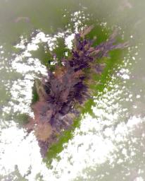 NASA's Terra spacecraft shows Mount Cameroon, an active volcano in Cameroon near the Gulf of Guinea. It is one of Africa's largest volcanoes, rising over 4,000 meters, with more than 100 small cinder cones.