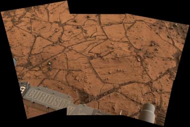 This patch of Martian bedrock, about 2 feet (70 centimeters) across, is finely layered rock with some pea-size inclusions. It lies near the lowest point of the 'Pahrump Hills' outcrop, which forms part of the basal layer of Mount Sharp.