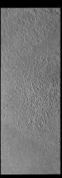 The numerous small depressions seen in this image captured by NASA's 2001 Mars Odyssey spacecraft of the south polar cap are informally called swiss cheese.