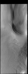 This image of the south polar cap captured by NASA's 2001 Mars Odyssey spacecraft shows many different surface textures as well as layering.